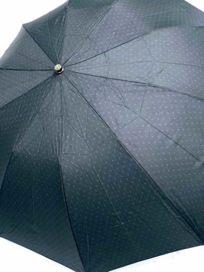 Paraguas plegable de 10 varillas